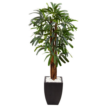 5.5' Raphis Palm Artificial Tree, Black Planter
