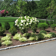 Landscape Ideas