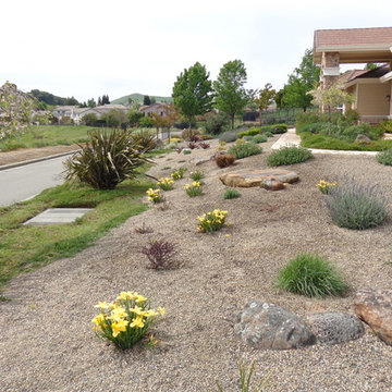 Lawn Replacement/Reduction in Lawn Size