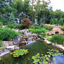 Waterfall Plants