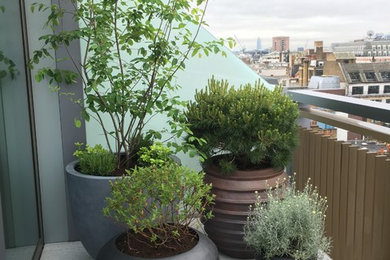Design ideas for a contemporary balcony in London.