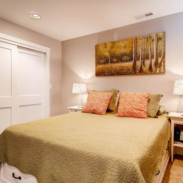 Denver Basement Bedroom