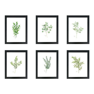 Botanical Study Leaf Berry Flower Wall Art Gold Frame Set Of 6 ~ Uttermost  33651