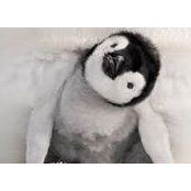 Jeremy Bernhardt's photo