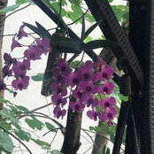 Roopa Hegde's photo