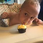 Laura Braydich-Stolle's photo