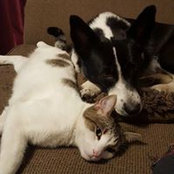 Ashley Nichols's photo