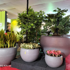 Greengardencentre