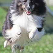 Marion Karp's photo