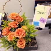 Judith DiPadova's photo