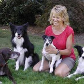 Alison Warrs billede