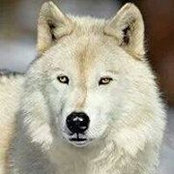 Susan Pinsky's photo
