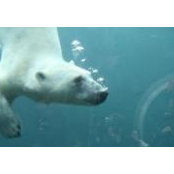 Gail Zehnder's photo