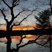 Luke Langworthy's photo