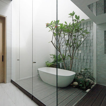 Ficus House