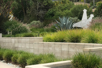 Inspiration for a modern landscaping in San Diego.