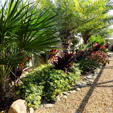 Tropical Accent Plants