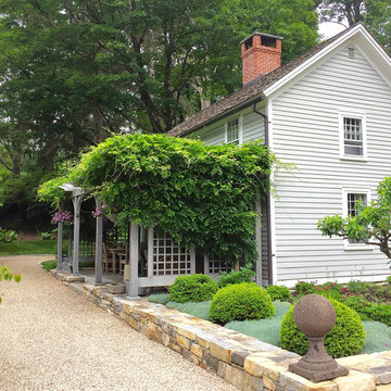 Pergola with mature wisteria