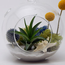terrarium