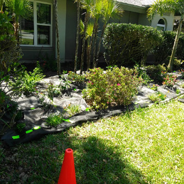 Butterfly Habitat
