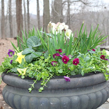 Flowering Beds and Urns