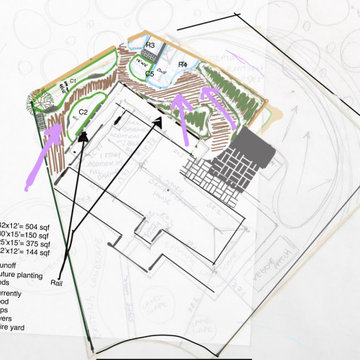 Conservation and rain gardens landscape