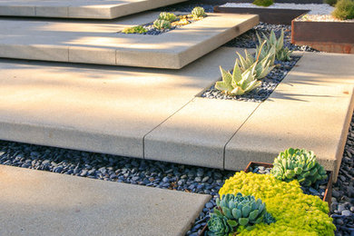 This is an example of a large modern backyard partial sun xeriscape in San Diego with a garden path and concrete pavers.