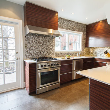 Contemporary Kitchen Renovation
