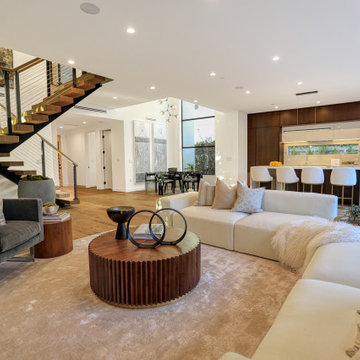 Modern Home | Mar Vista
