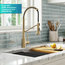 Bolden Commercial Pull-Down 1-Handle Kitchen Filter Faucet, 3-Function, SFACB