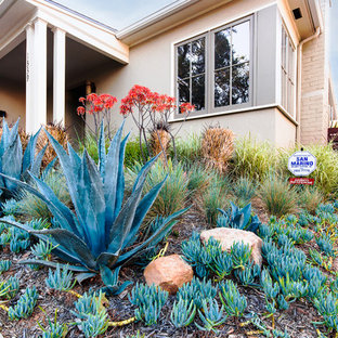 Blue Agave Landscape | Houzz