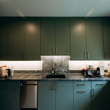 Single-Storey Oasis in Annandale