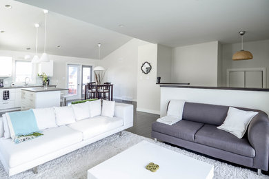 Inspiration for a modern living room remodel in Other