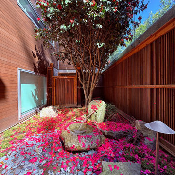 Moss gardens