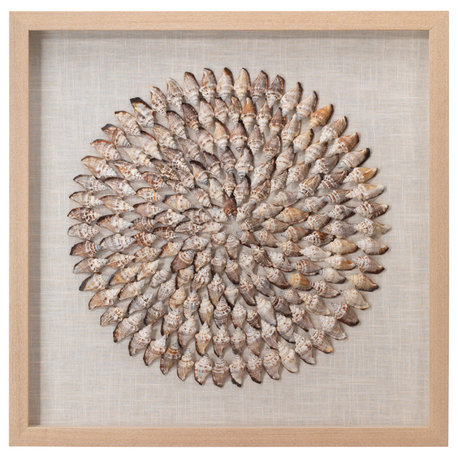 Riviera Framed Wall Art, Beige Simnia Shell