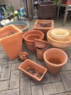 Painted Terracotta Pots For Adenium