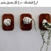 Foto von Aya Diab