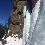 Matthew Ward's photo
