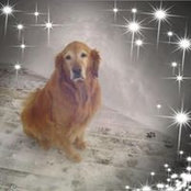 Stacey Witucki's photo