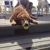Jeanne Templeman's photo