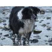Christine Poad's photo