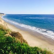 Colleen Lynch's photo