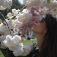 Foto di profilo di Giardino d'autore di Francesca Lercari