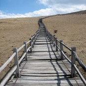 Feng Xia's photo