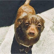 Colleen Allan's photo
