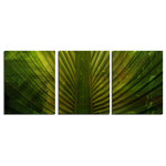 Ready2HangArt - Palms Canvas Wall Art, 3-Piece Set - This tropical abstract canvas art set is the perfect addition to any contemporary space. It is fully finished, arriving ready to hang on the wall of your choice.
