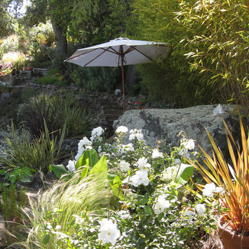 Hillside Landscape Sanctuary in Northern California
