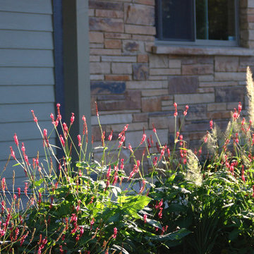 Residential Garden, Louisville, Est. 2012