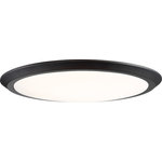 Quoizel - Quoizel 20" Diameter Verge Flush Mount, Oil Rubbed Bronze - Available in three finishes and four sizes, the Verge flush mount is suited for a variety of room applications. In your choice of brushed nickel, white or oil-rubbed bronze, it is featured in sizes of 7.5, 12, 16 or 20. The domed white acrylic shade is illuminated with integrated LED technology and the thick canopy adds depth to the simple structure.