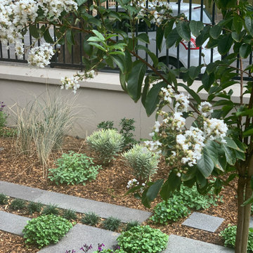 Norwood | Front Garden